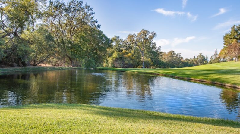 Photo Mental Focus Training