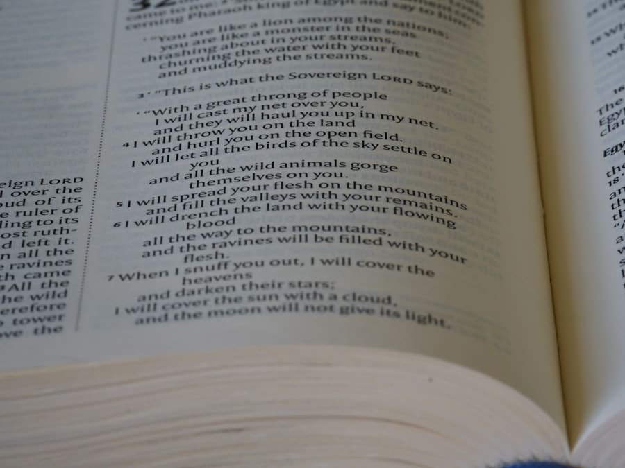Kids Reading Classes Frisco Tx 3 Photo Reading Classes