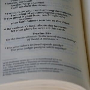 Photo Speed Reading Training