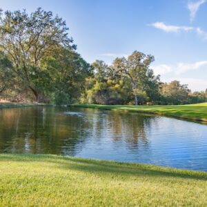 Photo Memory Retention Workshop