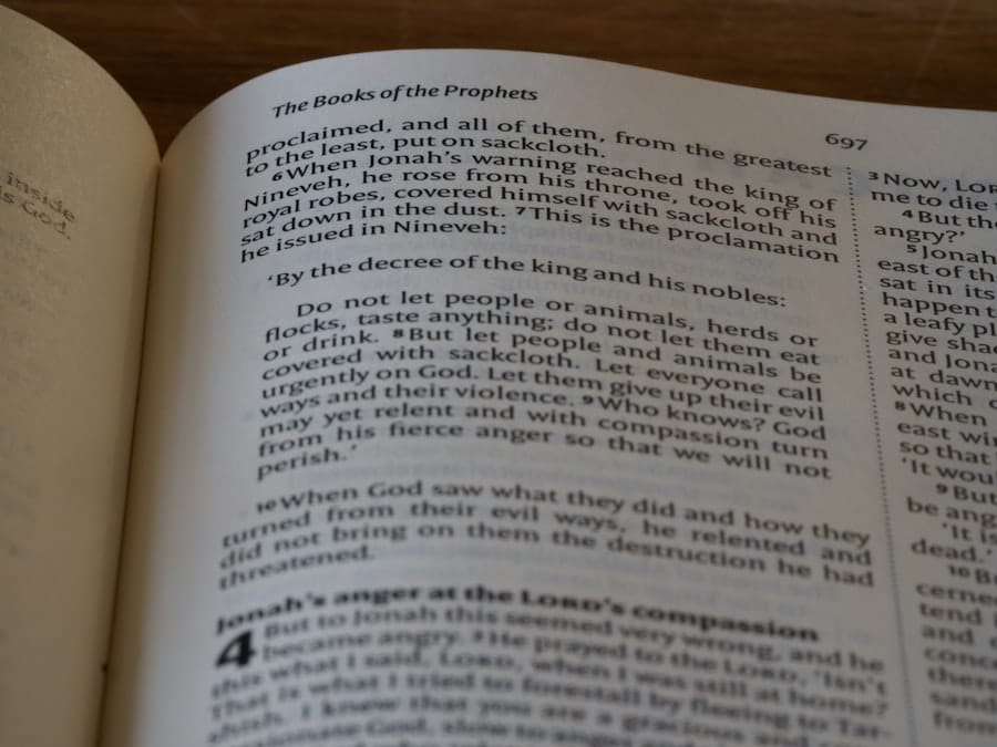 Photo Reading Comprehension Course
