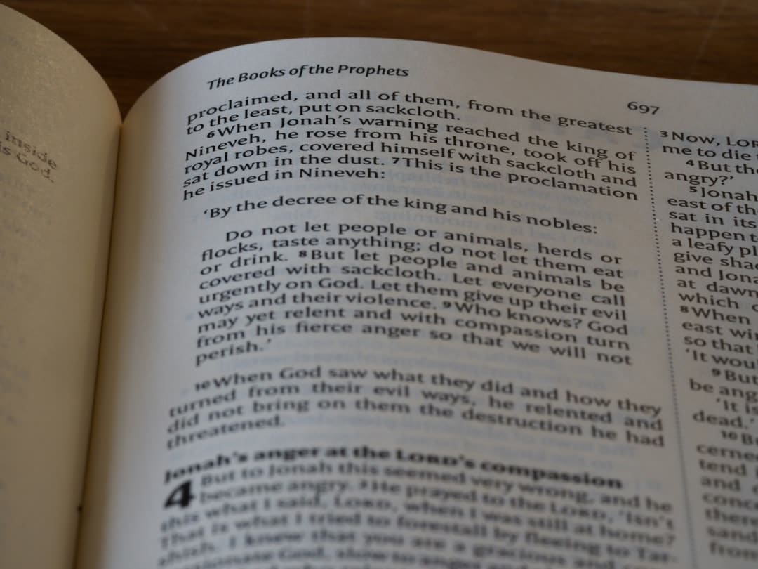 Photo Reading Comprehension Improvement