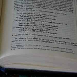 Photo College Prep Reading Course