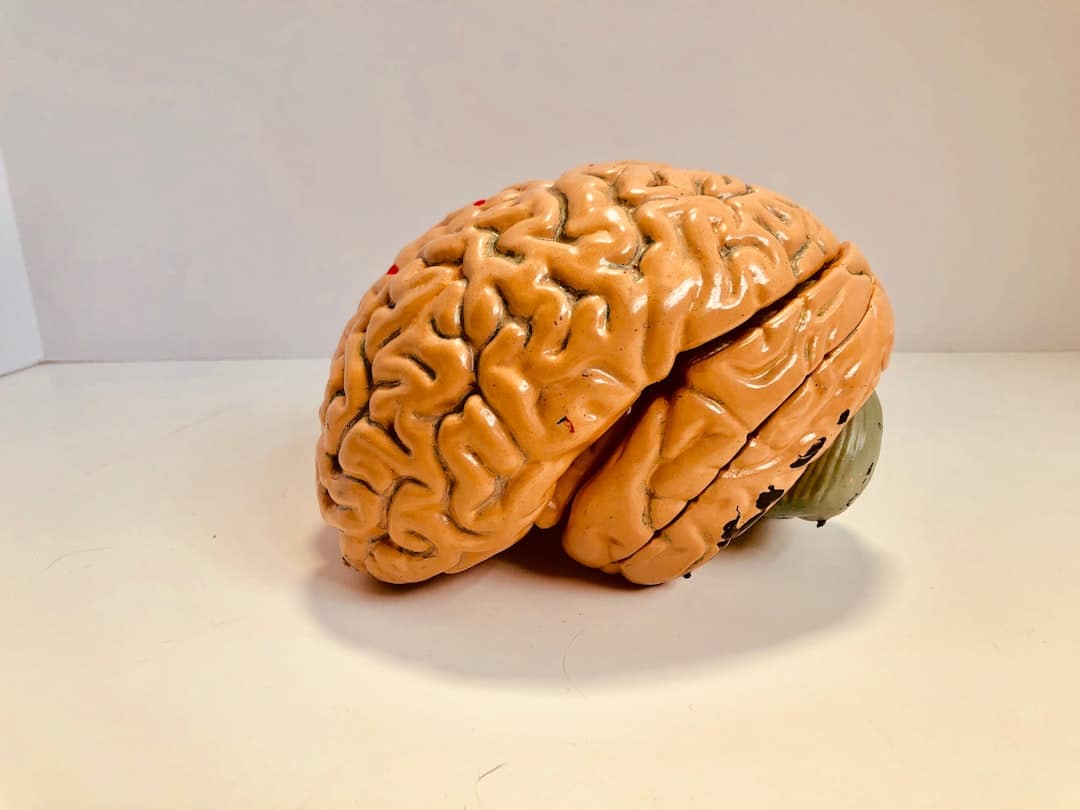 Photo Brain Training Course