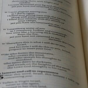 Photo Reading Efficiency Training
