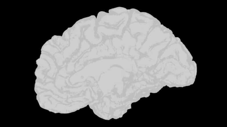 Photo Cognitive Learning Techniques