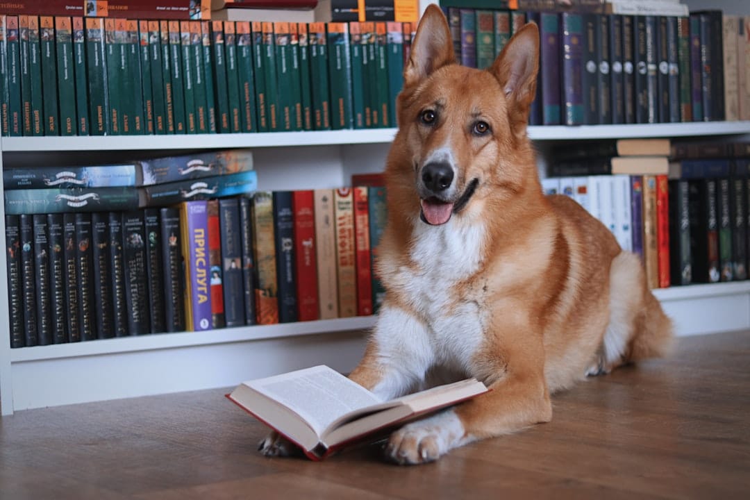 Photo Reading Training