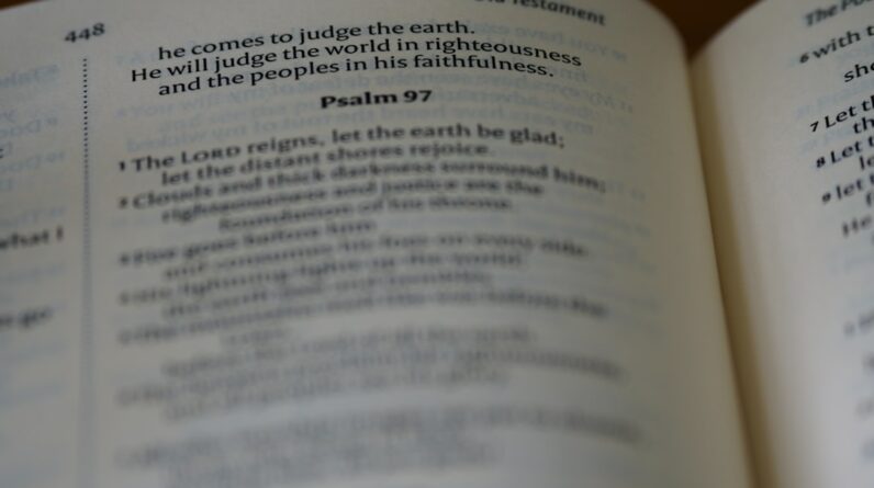 Photo Reading Comprehension Program