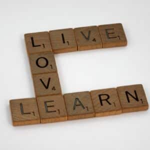 Photo Comprehension Improvement Training