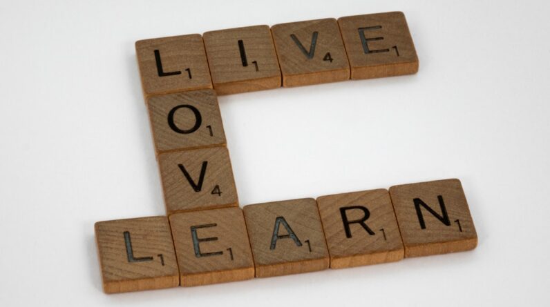 Photo Comprehension Improvement Training