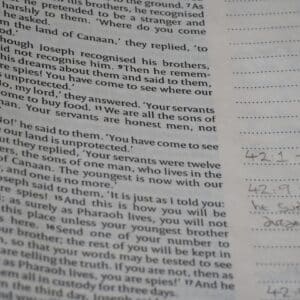 Photo Memory Improvement Reading Classes