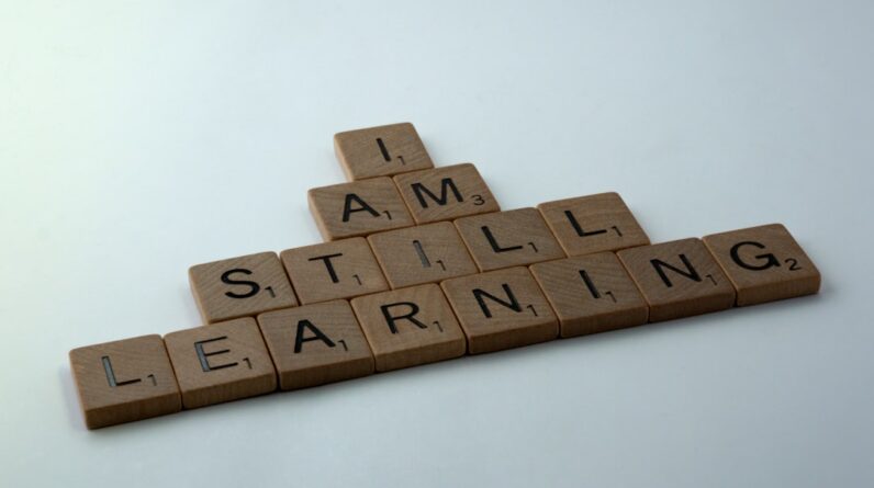 Photo Comprehension Improvement Training