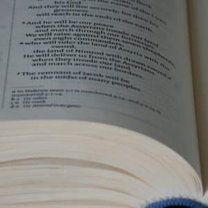 Photo Academic Reading Skills