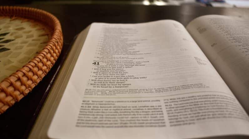 Photo Reading Comprehension