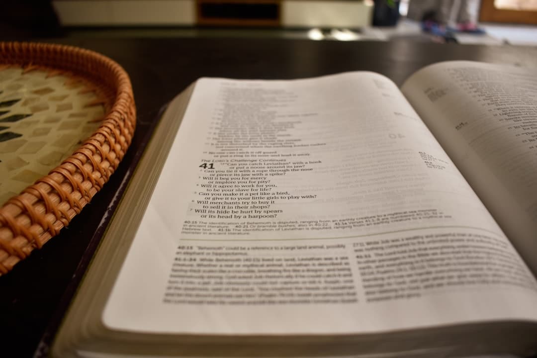 Photo Reading Comprehension