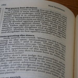 Photo Reading Comprehension Coaching Spectrum