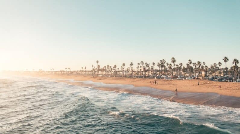 Photo Study Skills Coaching Spectrum