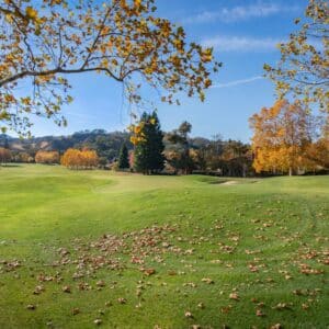 Photo Speed Reading Coaching