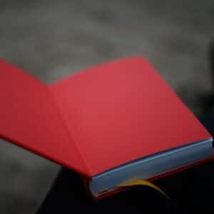 Photo Reading Training