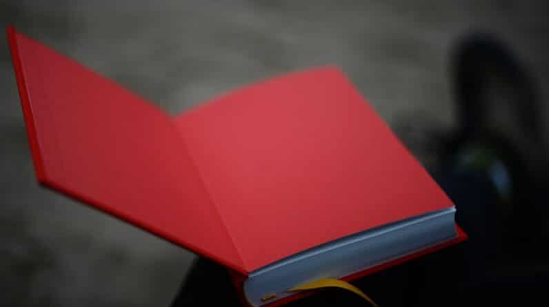 Photo Reading Training