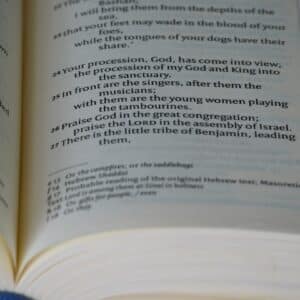 Photo Reading Skills Training