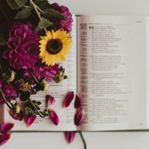 Photo Reading Coaching