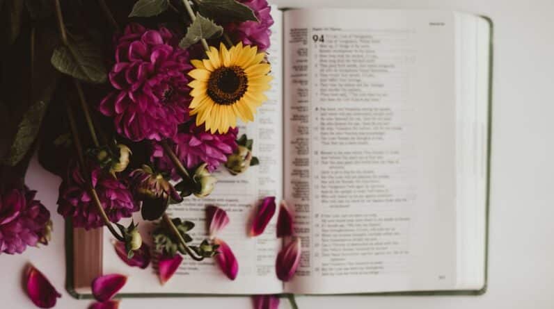 Photo Reading Coaching