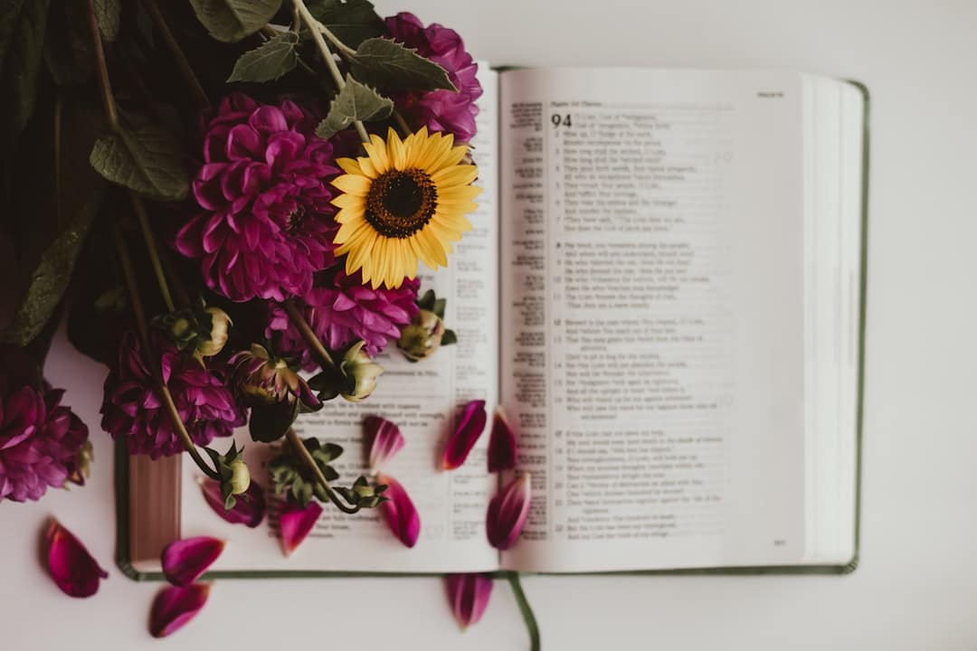 Photo Reading Coaching
