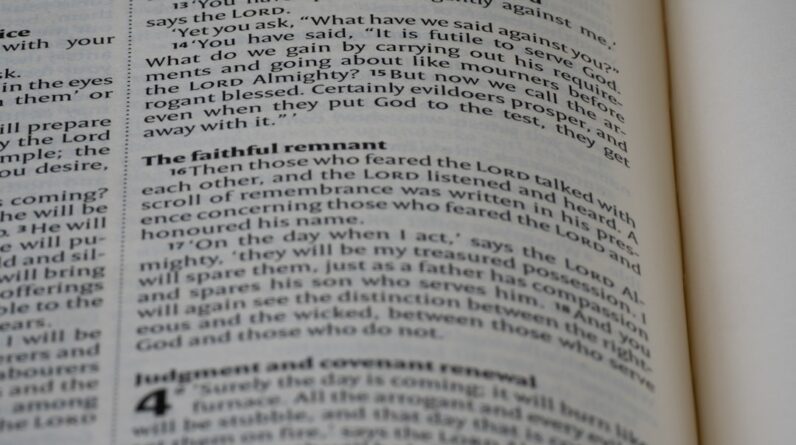 Photo Reading Comprehension Coaching
