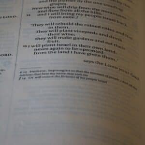 Photo Exam Preparation Speed Reading