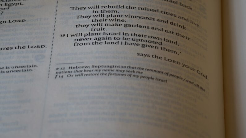 Photo Exam Preparation Speed Reading