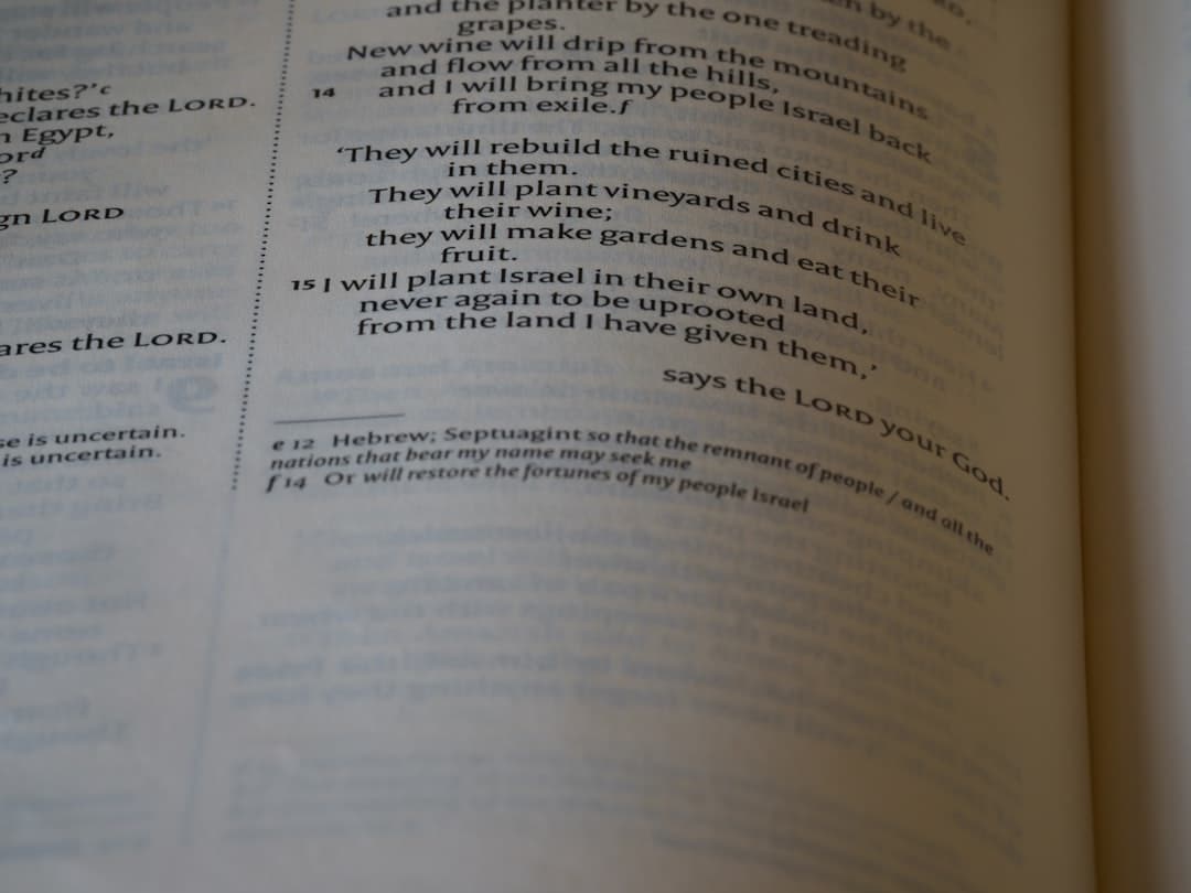 Photo Exam Preparation Speed Reading