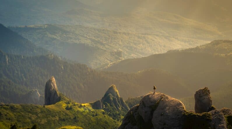 Photo Learning Enhancement Program