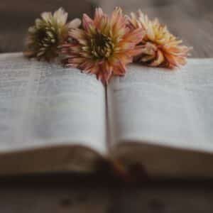 Photo Reading Coaching
