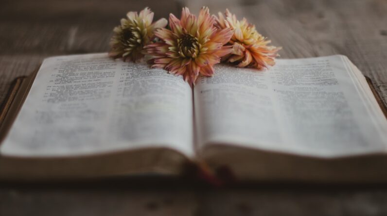 Photo Reading Coaching