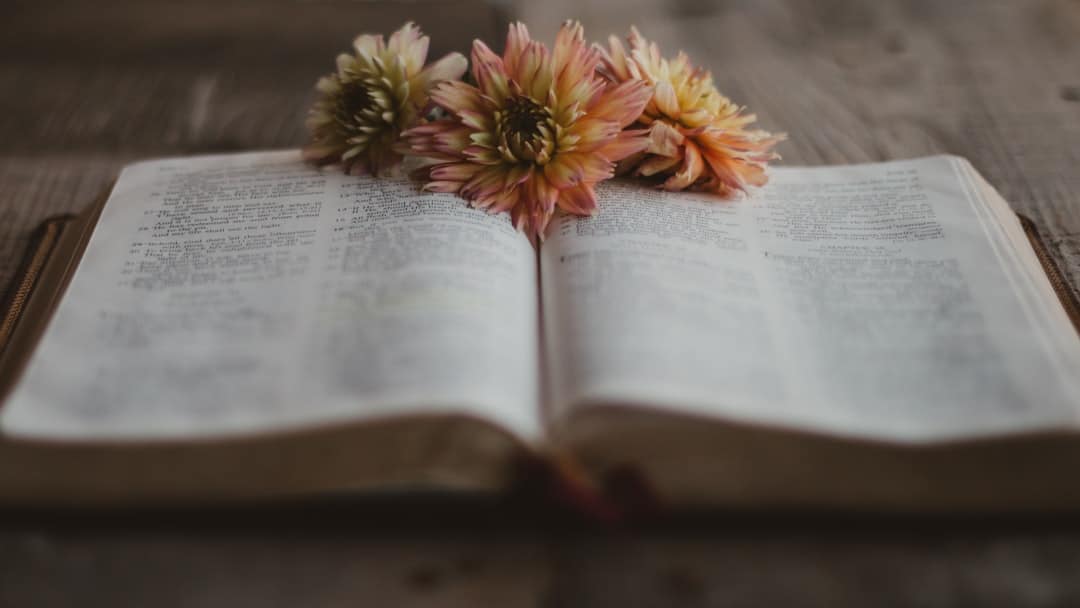 Photo Reading Coaching