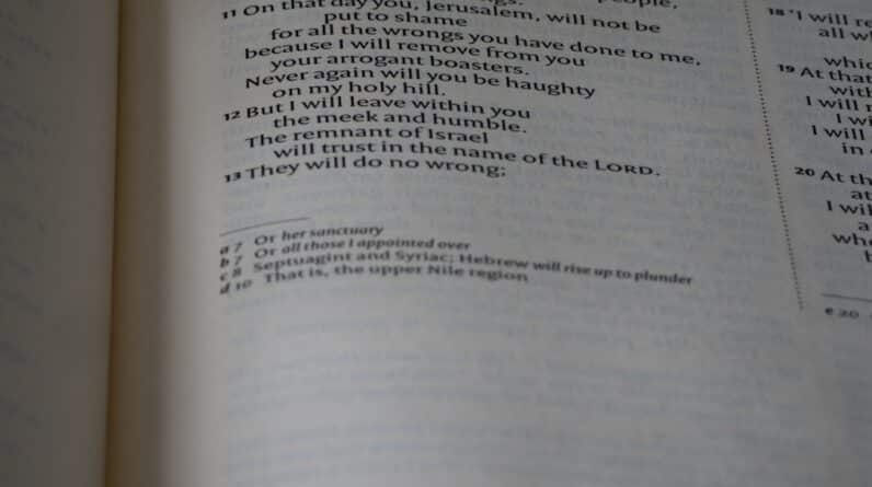 Photo Exam Preparation Speed Reading