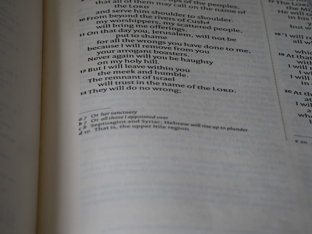Photo Exam Preparation Speed Reading