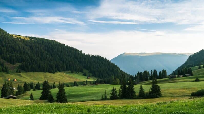 Photo Study Skills Training