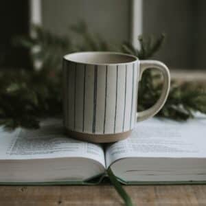 Photo Reading Coaching