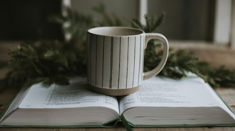 Photo Reading Coaching