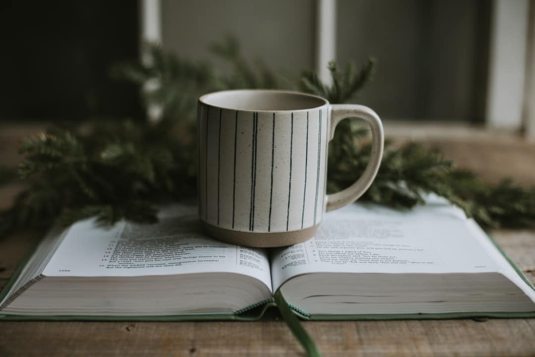 Photo Reading Coaching