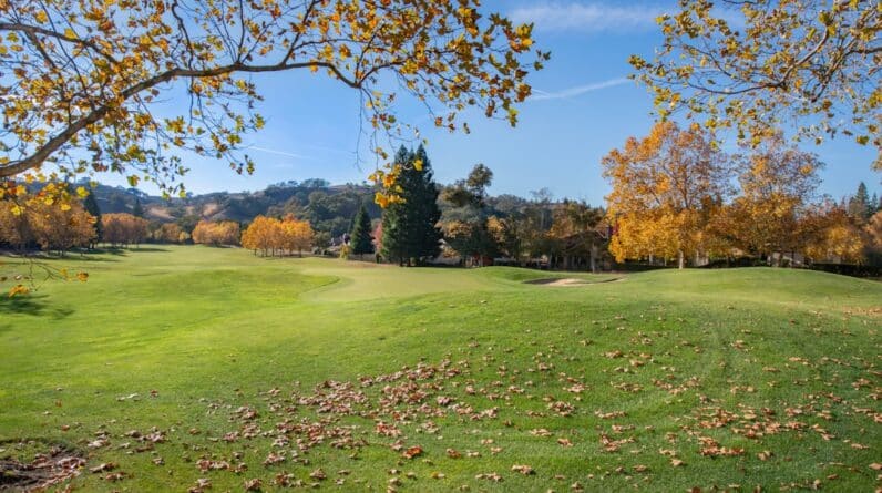 Photo Academic Reading Improvement Beacon Hill Tx